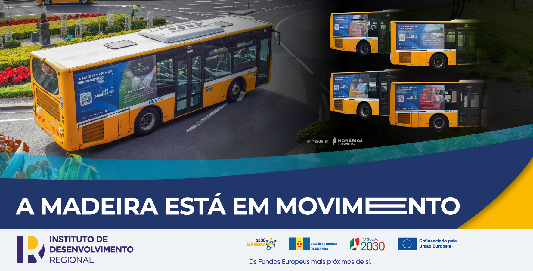 publicacao_IRD_publicação-05